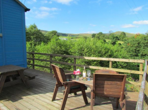 Cuckoo at Wild Valley Huts